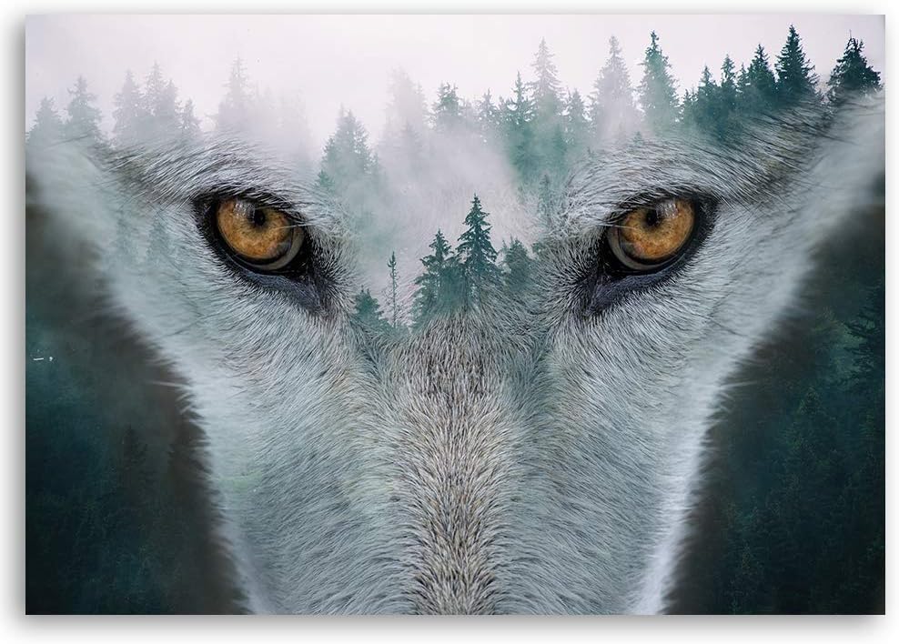 Feeby Vlies Leinwandbild Nebel Wald 80x60 cm Wand Bild Kunstdruck Deko Wohnzimmer Wohnungs Deko Wolf