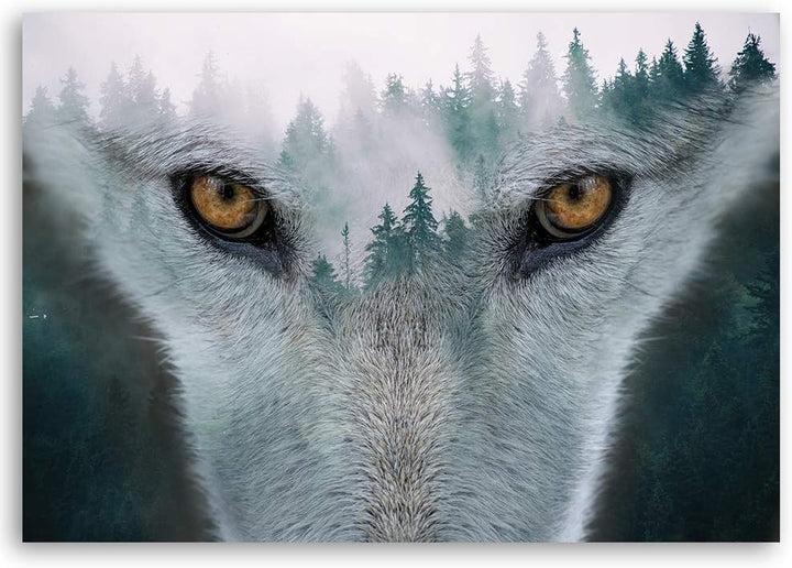 Feeby Vlies Leinwandbild Nebel Wald 80x60 cm Wand Bild Kunstdruck Deko Wohnzimmer Wohnungs Deko Wolf