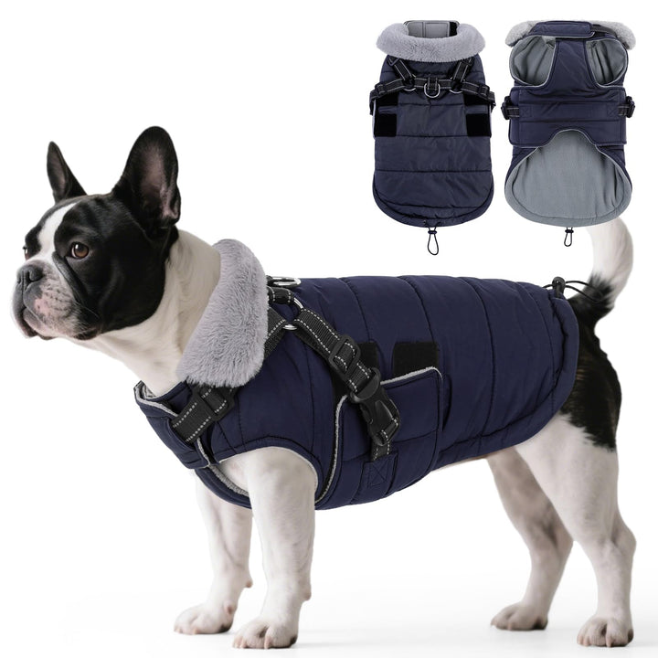 ASENKU Hundemantel für Kleine Hunde mit Geschirr, Warme Fleece Hundemantel Winter Wasserdicht Mit Br