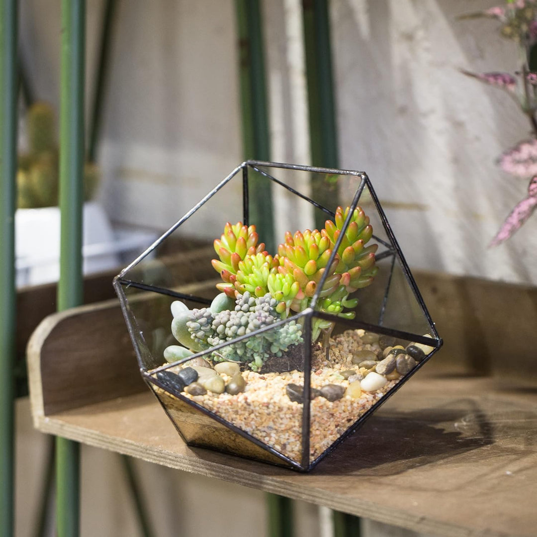 NCYP Handmade Blumentopf,Gemoetrisches Glasterrarium, dreieckig, in Form Einer Halbkugel, für Balkon