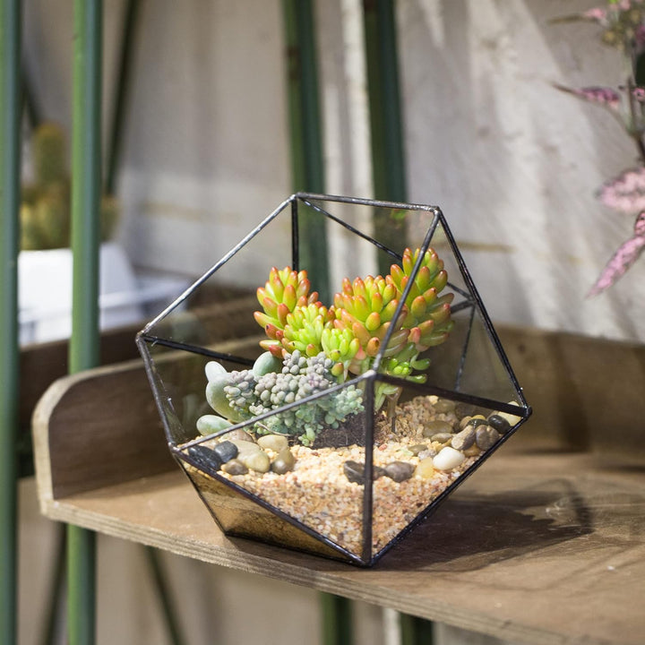 NCYP Handmade Blumentopf,Gemoetrisches Glasterrarium, dreieckig, in Form Einer Halbkugel, für Balkon