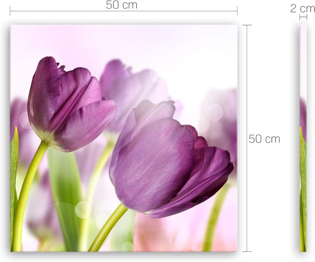 ge Bildet Bild auf Leinwand | Tulpe - Blumen Violett Natur E in 50x50 cm als Wandbild | Wand-deko De
