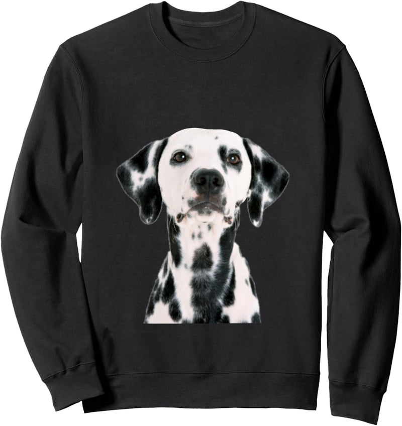 Dalmatiner Hund Sweatshirt