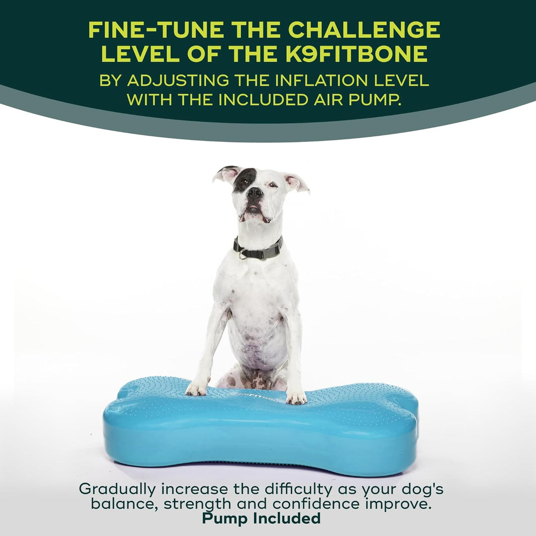 FitPAWS Giant Fitbone (blau)