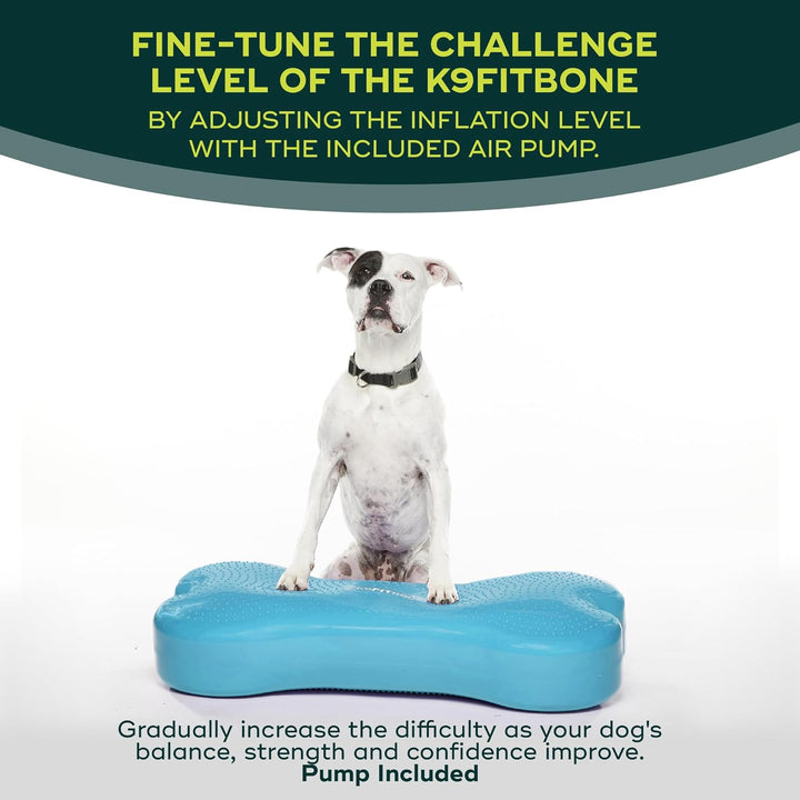 FitPAWS Giant Fitbone (blau)