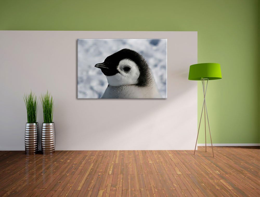 drei Kaiserpinguinküken Leinwand, XXL riesige Bilder fertig gerahmt mit Keilrahmen, Kunstdruck auf W