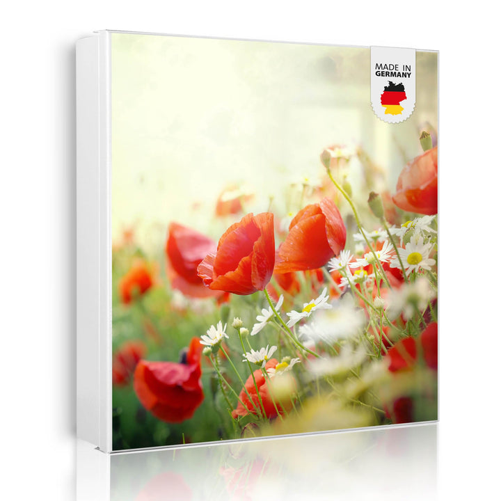 banjado® Grosser Schlüsselkasten Glas/Schlüsselbox 30cm x 30cm mit 50 Haken - Motiv Kamille Und Mohn