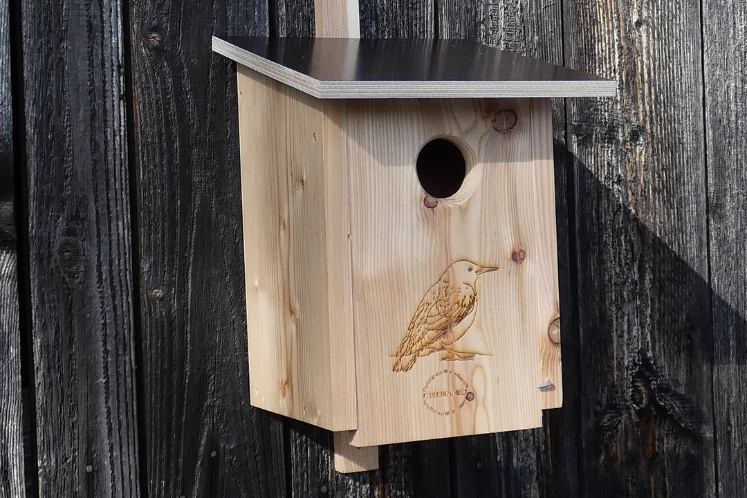 Premium Natur Lärchenholz Nistkasten unbehandelt nach Nabu, massives Vogelhaus Nisthilfe wetterfest