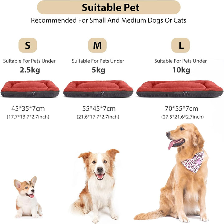 PETCUTE Hundebett Mittelgrosse Hunde,Waschbar Hundekissen mit Abnehmbar Bezug,Super Weiches Hundesof