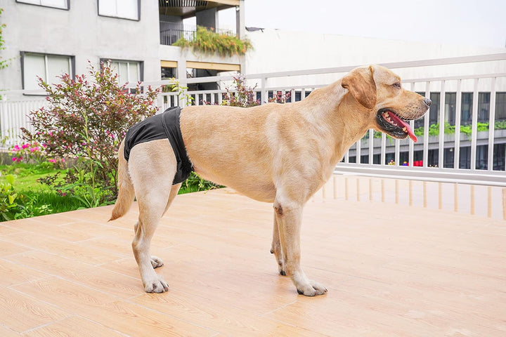 Waschbare Windeln für Hunde, Wiederverwendbare Hundewindeln, Umweltfreundliche Damenbinden Höschen,