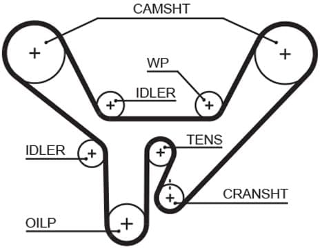 GATES Steuerriem 5518XS