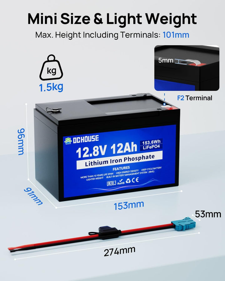 DCHOUSE 12V 12Ah LiFePO4 Lithium Batterie mit 5A Ladegerät und 15A BMS, 10 Jahre Lebensdauer, über 1