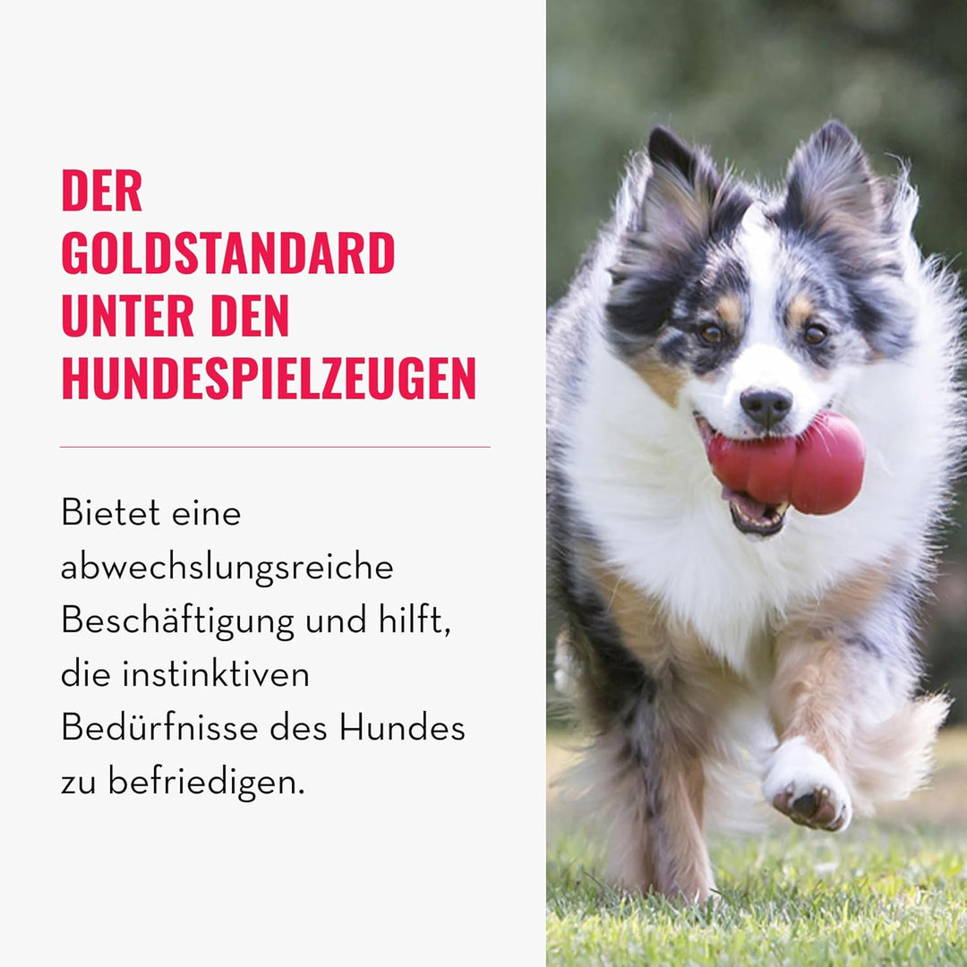 KONG-Klassisch-Md, Mittelgrosse