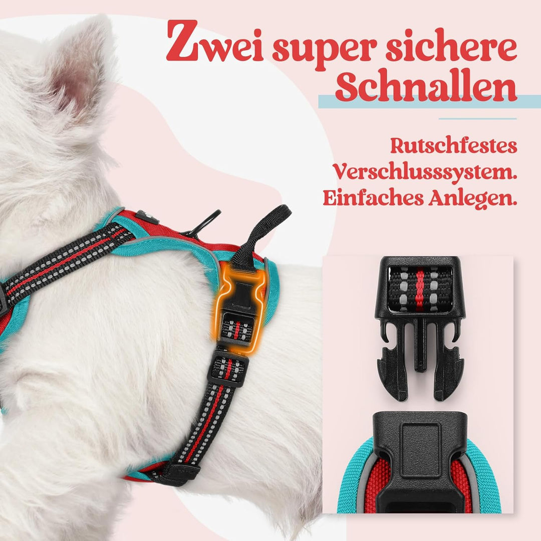 rabbitgoo Hundegeschirr Kleine Hunde, Anti Zug Geschirr mit Kontrolle, No Pull Verstellbar Hundegesc