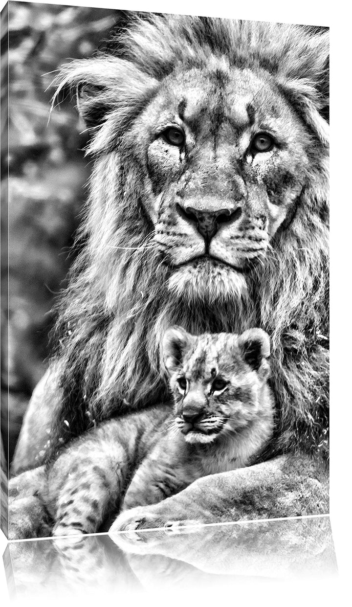 Pixxprint Löwe kuschelt mit Jungtier/Format: 100x70cm / Leinwandbild fertig bespannt Wandbild Kunstd