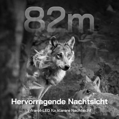 WOLFANG Wildkamera, 2.5K 4G LTE Live Solar Übertragung Wildkamera mit Handyübertragung App, Echtzeit