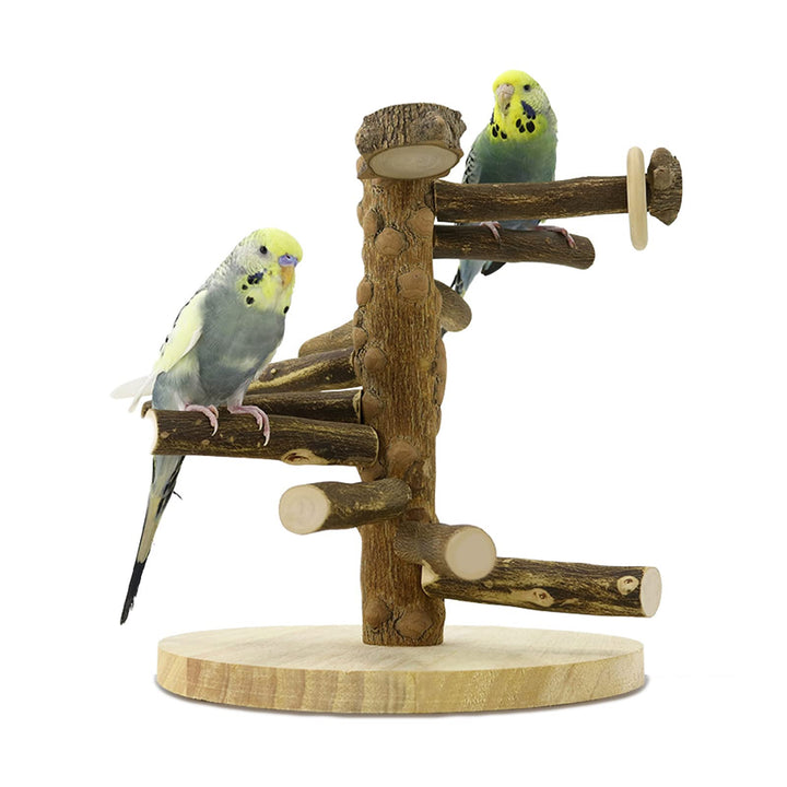 Wellensittich Spielplatz Vogel-Spielplatz für Nymphensittich Papageien Wellensittiche, Holz, Grösse