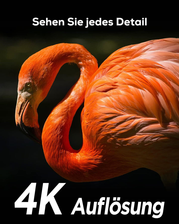 iZEEKER Wildkamera WLAN Duales Objektiv 4K 30fps 60MP, Wildtierkamera mit Sternenlicht Nachtsicht Be
