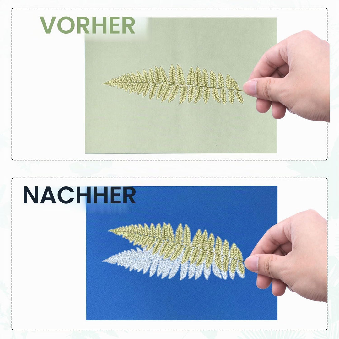 24st Sonnendruckpapier Set, A4 Cyanotypie Papier und Ordner Hochempfindlich Sonnen-/Solaraktiviert K