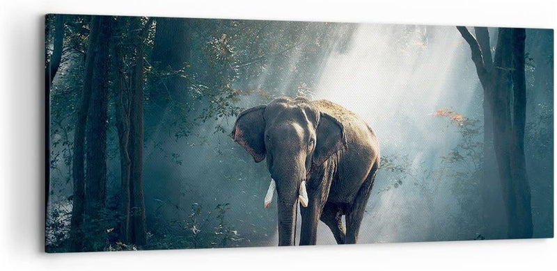 Wandbilder Dekoration Wohnzimmer elefant natur Panorama Bilder auf Leinwand 120x50cm Leinwandbild mi