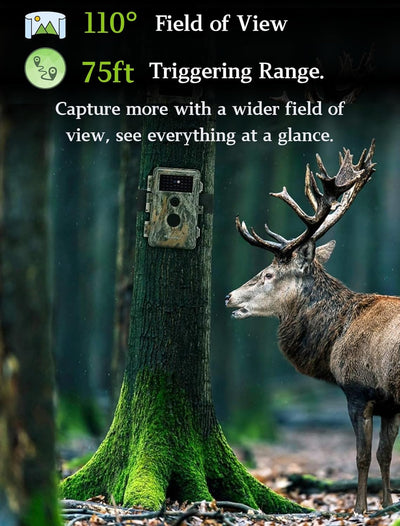 2tlg. Wildkamera Fotofalle Beute Kamera JagdKamera, 32MP HD Video, 36pcs IR LED No-Glow Nachtsicht W