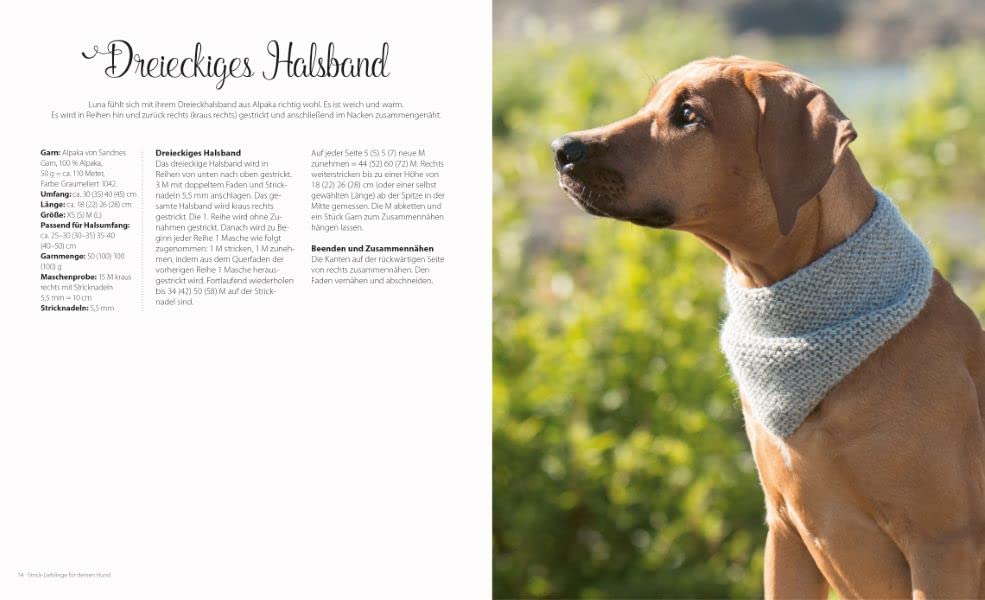 Strickbuch Hund – Strick-Lieblinge für deinen Hund: Kleidung, Accessoires und Spielzeug für fröhlich