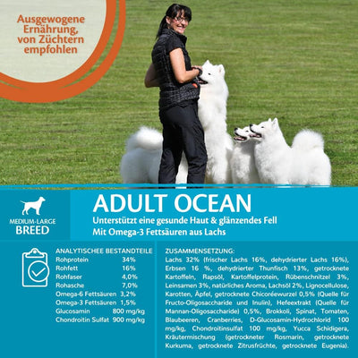 Wellness CORE Adult Ocean, Hundefutter trocken für gesunde Haut & glänzendes Fell, getreidefrei, mit