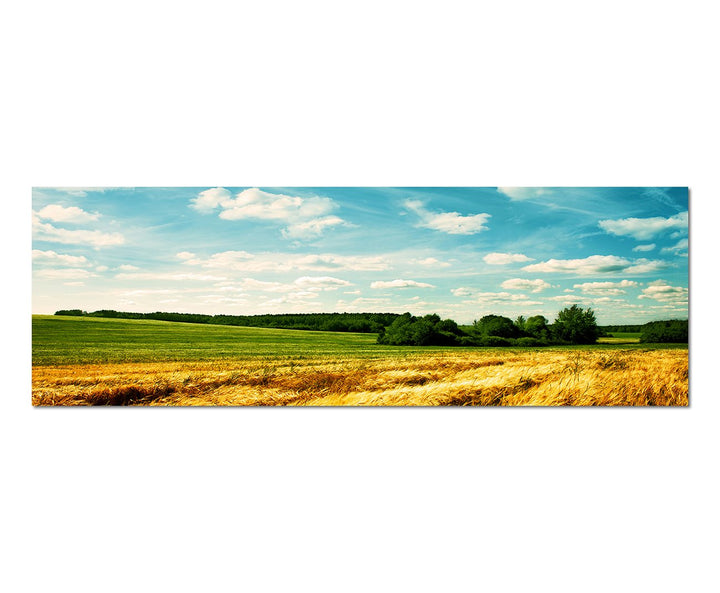 Paul Sinus Art Panoramabild auf Leinwand und Keilrahmen 150x50cm Landschaft Kornfeld Wolken Sommer