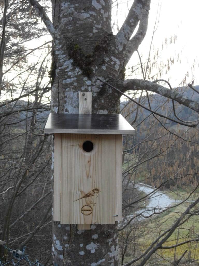 Premium Natur Lärchenholz Nistkasten unbehandelt nach Nabu Kohlmeise 32mm Einflugloch, massives Voge