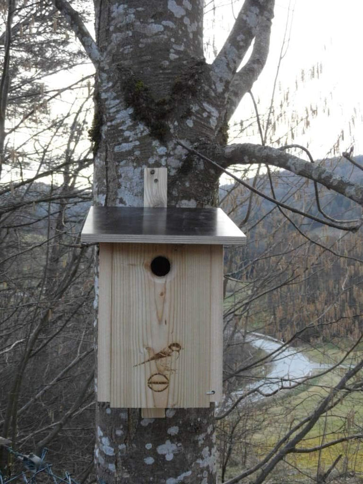 Premium Natur Lärchenholz Nistkasten unbehandelt nach Nabu Kohlmeise 32mm Einflugloch, massives Voge