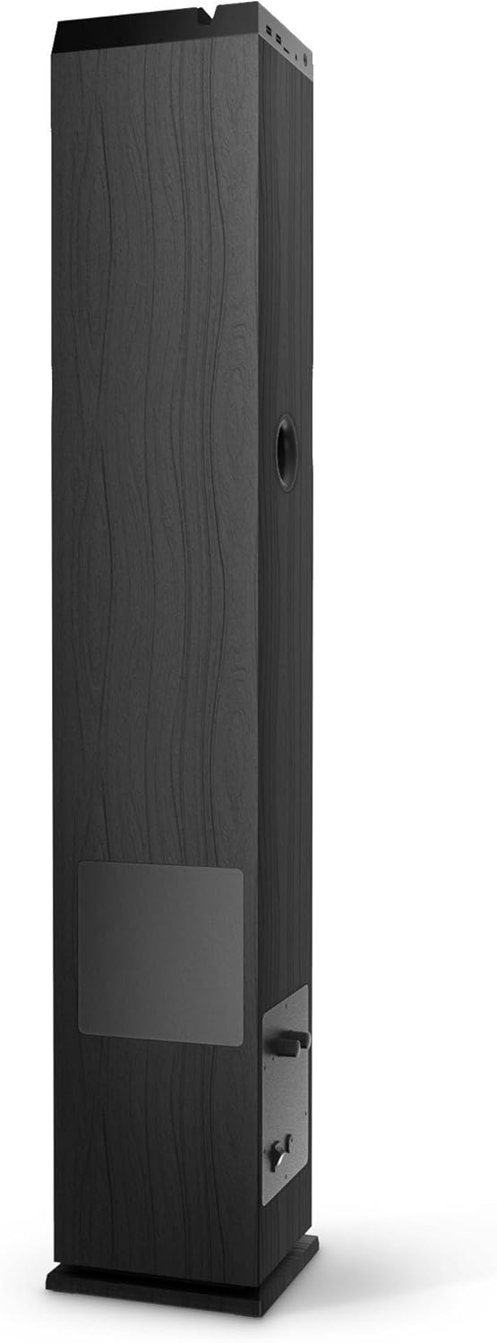 Energy Sistem Tower 5 MAX (100 W, Bluetooth, True Wireless, USB/SD und FM-Radio) (schwarz)
