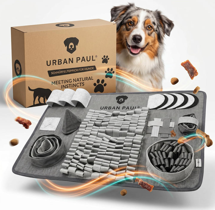Schnüffelteppich für Hunde - Explore - NEU - Vielfältige Schnüffelmatte mit 3 Schwierigkeitslevel -