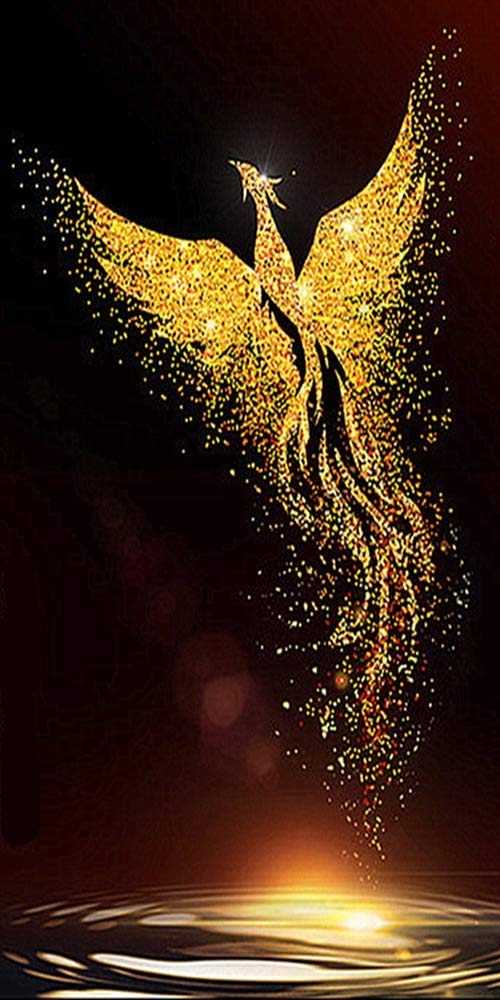 RAILONCH DIY 5D Golden Phoenix Diamant Painting für Erwachsene, voller Bohrer Strass Bilder Handwerk