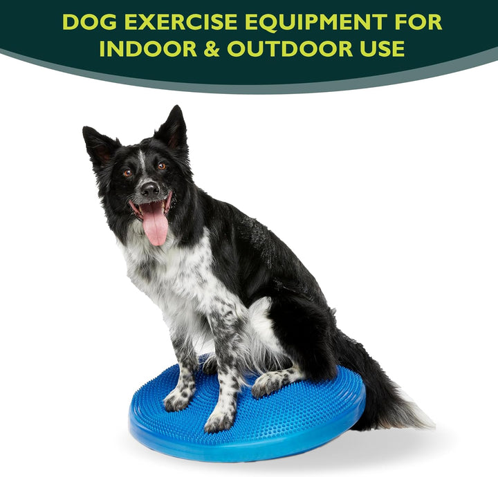 Ball Dynamics FPAWSBD 22 FitPAWS Balance Scheibe, 56 cm, blau