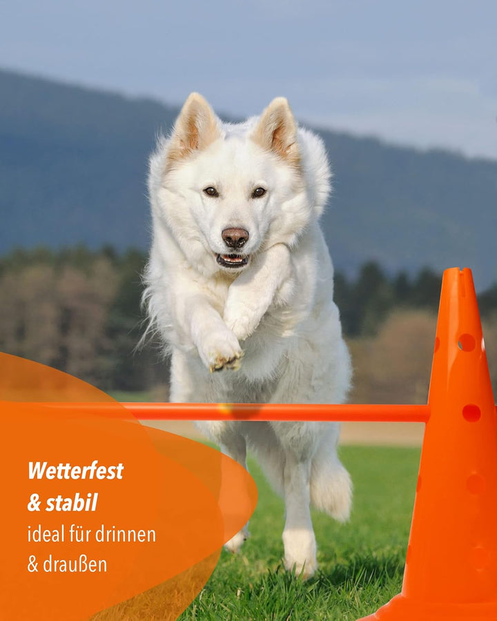 Kombi Kegel-Hürde – Steckhürde für Agility Training – Sprung- &amp; Slalom-Hütchen für Hund, Sport, Pfer