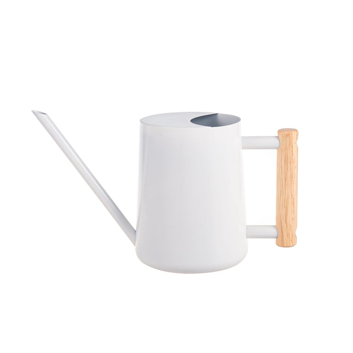 IMEEA Giesskanne Klein 1L Giesskanne Edelstahl Indoor & Outdoor Giesskanne mit langem Auslauf Bewäss