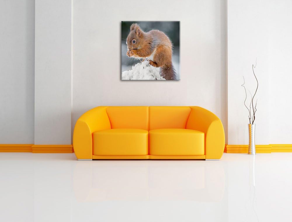 Pixxprint Kleines Eichhörnchen im Winter, Format: 70x70 auf Leinwand, 70x70