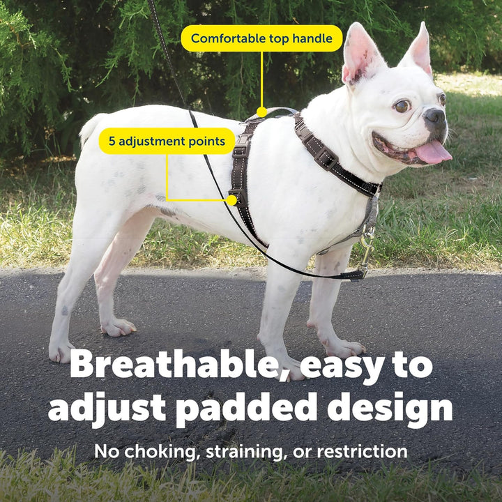 PetSafe 3in1 Harness, from The Makers of The Easy Walk Harness, Fully Adjustable No-Pull Dog Harness