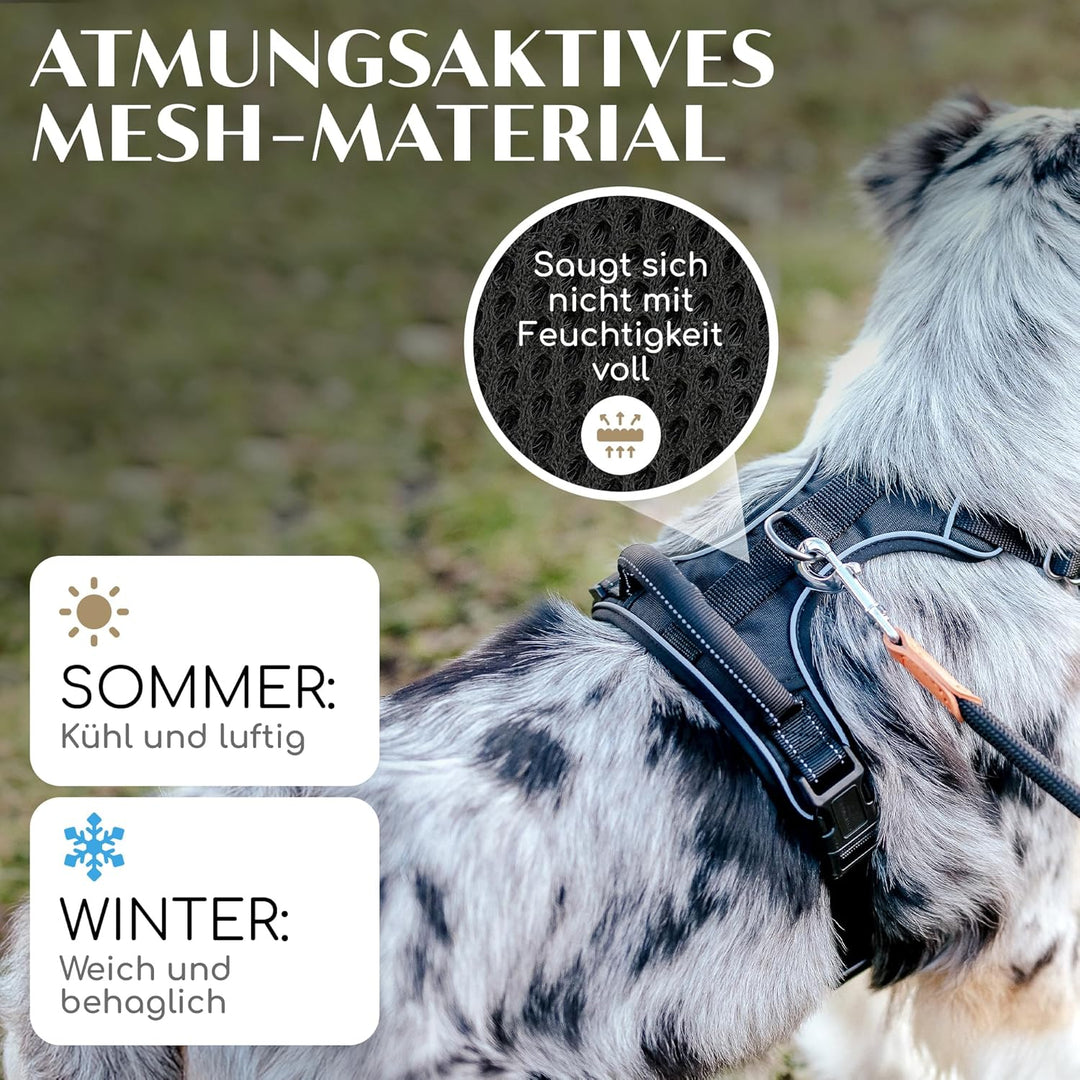 FREUDENTIER® Hundegeschirr mit atmungsaktiver Polsterung - Höchster Komfort &amp; bombenfester Sitz - Mi