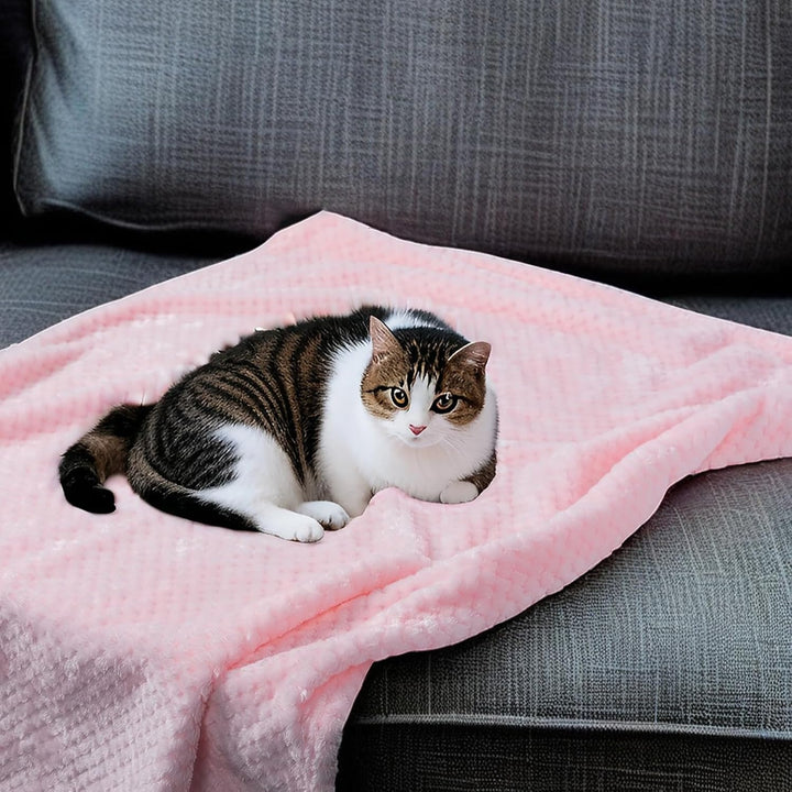 SLSON 2 Decken Hundedecken Katzendecken,Weiche Doppelseitige Haustierdecken für Sofas, Stühle,Autos,