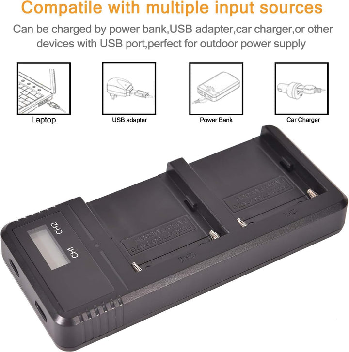 (2 Pack) NP-F750 DSTE Ersatz Batterie + Schnellladung Dual LCD Ladegerät Kompatibel mit Sony NP-F730