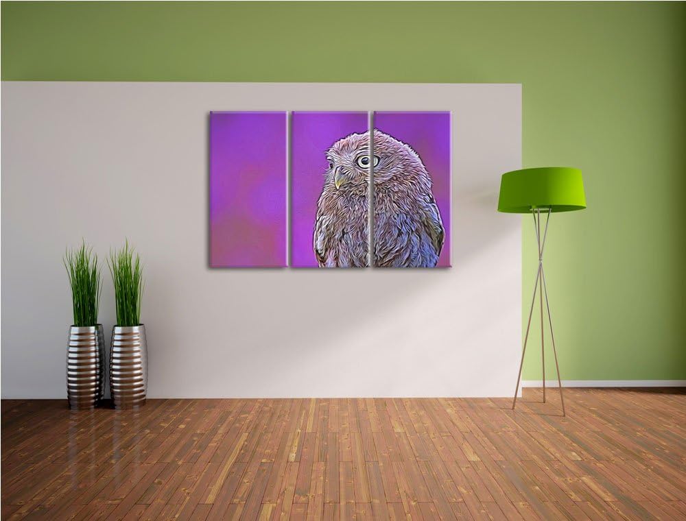 schöne junge Eule NewArt 3-Teiler Leinwandbild 120x80 Bild auf Leinwand, XXL riesige Bilder fertig g