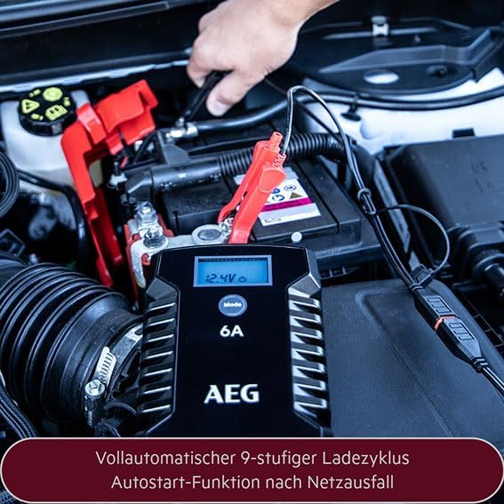 AEG Automotive 10617 Mikroprozessor-Ladegerät für Auto Batterie LD 6.0, 6 Ampere für 6/12 V, 7-HF La