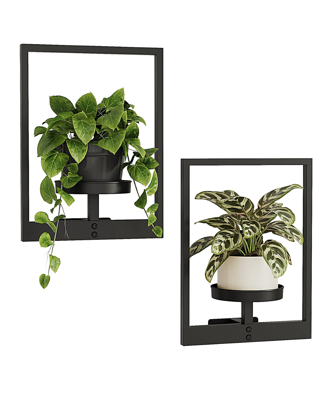 Bamworld Wandbehang Pflanzgefässe für Zimmerpflanzen 2 Set Wand Blumenständer Moderner Pflanzenständ