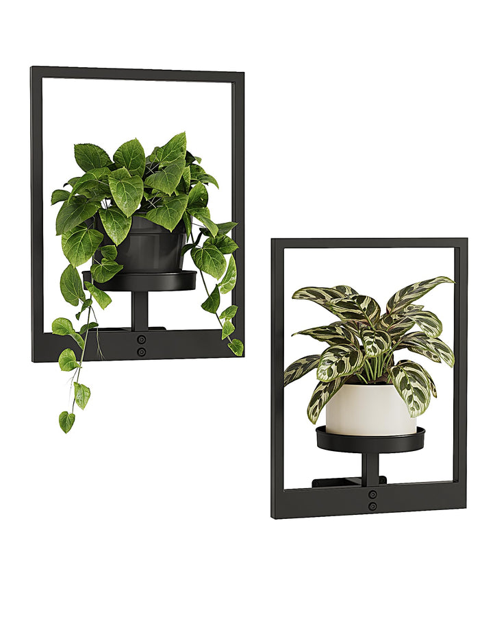Bamworld Wandbehang Pflanzgefässe für Zimmerpflanzen 2 Set Wand Blumenständer Moderner Pflanzenständ
