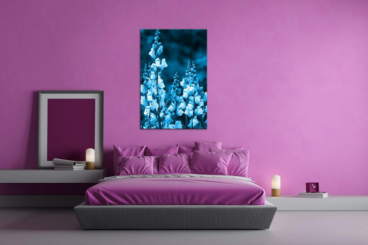 deyoli Löwenmaul Wildblume Format 80x60 Effekt: Monocrome Blau als Leinwandbild, Motiv fertig gerahm