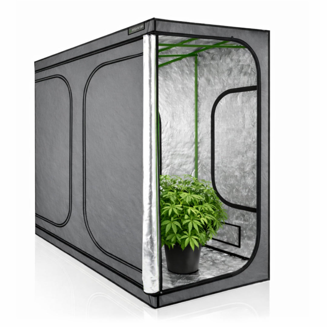 Zelsius Growzelt MyHomeGrow Grow Tent | Indoor Growroom | Growschrank Darkroom Pflanzenzelt Gewächsh