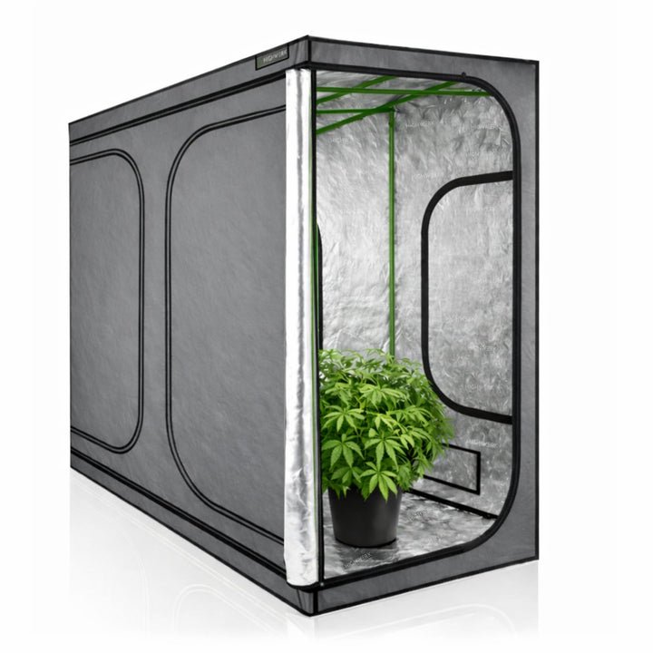 Zelsius Growzelt MyHomeGrow Grow Tent | Indoor Growroom | Growschrank Darkroom Pflanzenzelt Gewächsh
