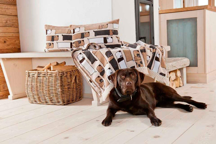Feiler dogs03780144, Plaid mit Fransen, Dogs, 85 x 150 cm, bunt