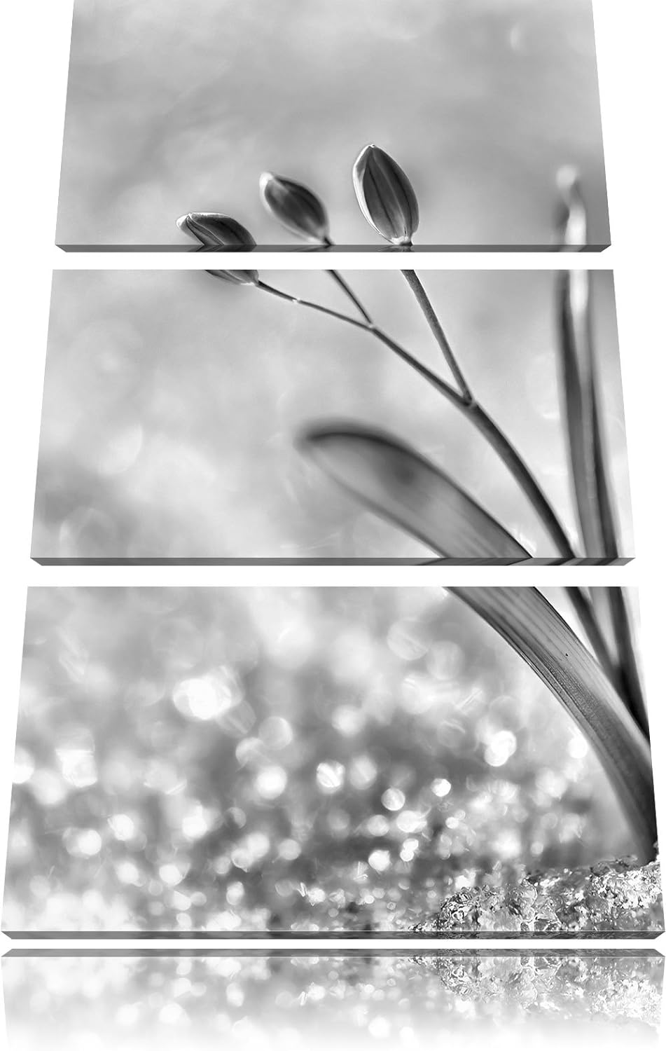 Pixxprint Monocrome, Blaue Knospen im Schnee 3-Teiler Leinwandbild 120x80 Bild auf Leinwand